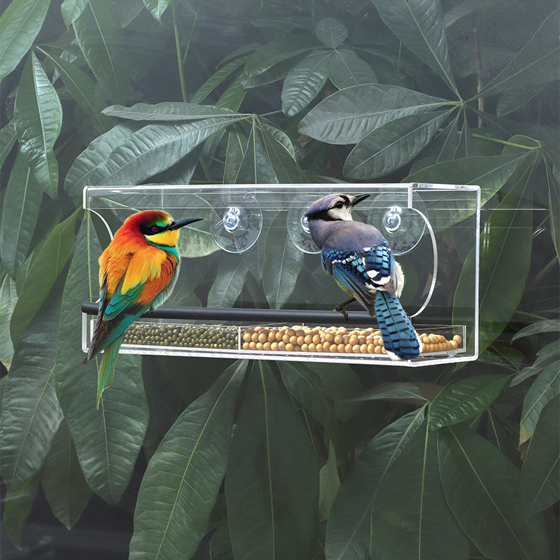 Transparent acrylic window-mounted bird feeder